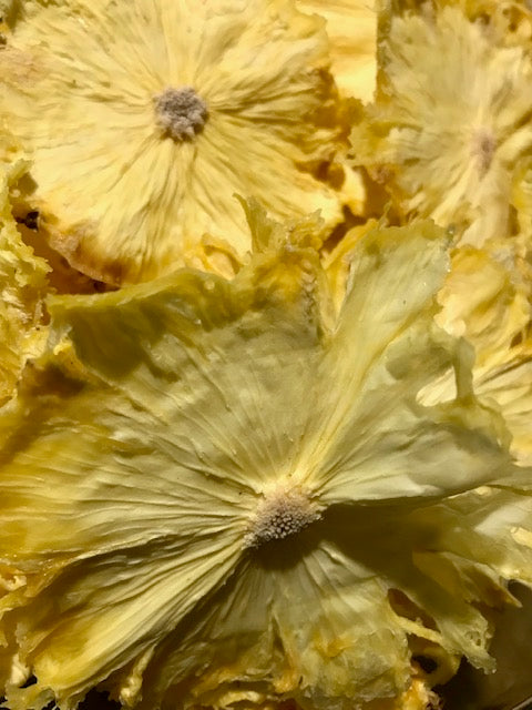 GARNISH PACK: Pineapple Flowers
