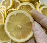 CITRUS: Lemon - Dehydrated Citrus Rounds